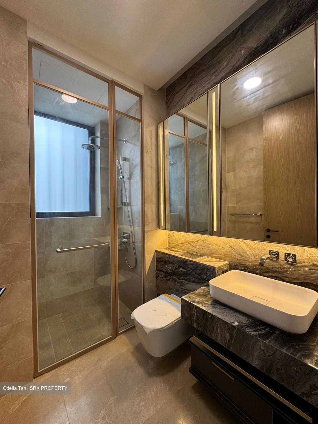 The Avenir (D9), Condominium #451207051